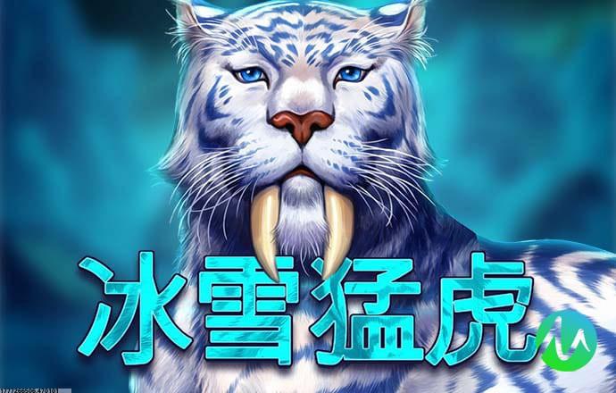 全球多语言社交互动